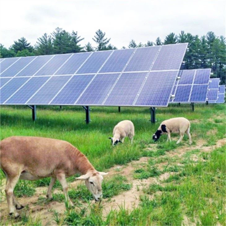 240v agriculture solar system (2)_